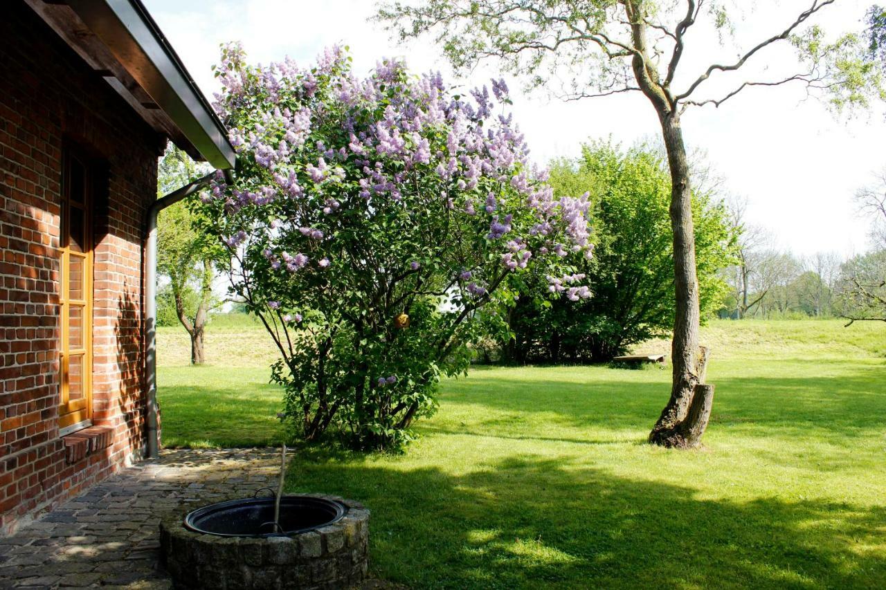 Fewos In Klein-Grindau Schwarmstedt Exterior photo